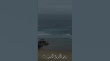 سورة المُلك تلاوة تُريح القلب 💗 #قرآن_كريم #اكسبلور #المصحف #لايك #i̇slam#قرآن #قرآن_بصوت_عذب #ترند