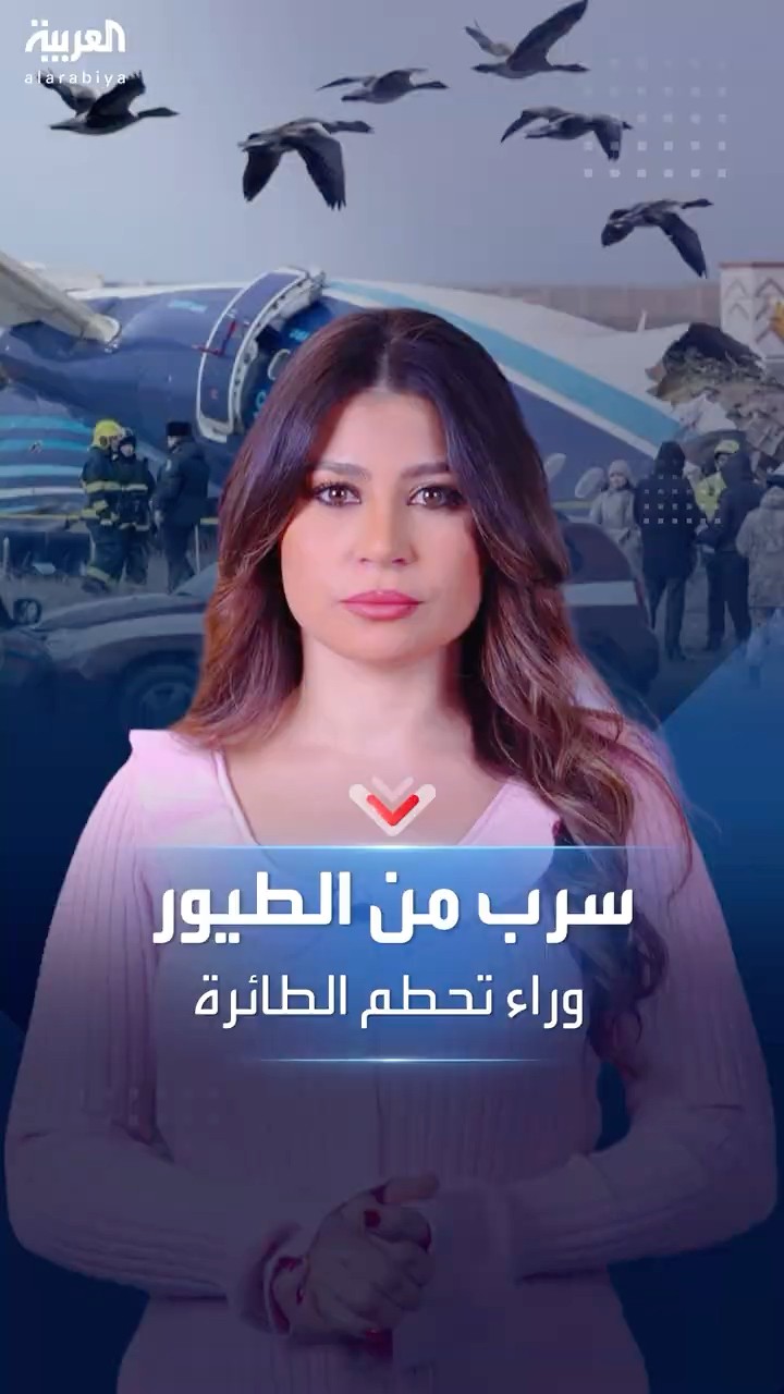 الطيور وراء تحطم طائرة ركاب في كازاخستان