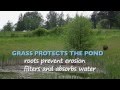 Stormwater Pond - Inspection and Maintenance