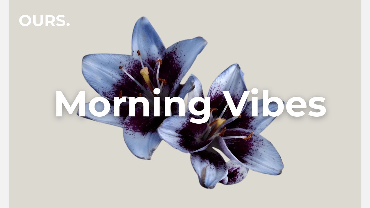 Chillout House Mix | Cool Minimal Grooves for Sustained Focus & Stillness