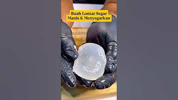Buah Lontar Segar‼️Sensasi Manis & Menyegarkan yang Jarang Diketahu⁉️