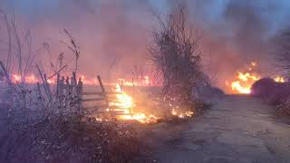 Новые очаги возгорания выявлены в Галском районе