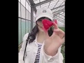 つりビット 安藤咲桜イチゴ狩り