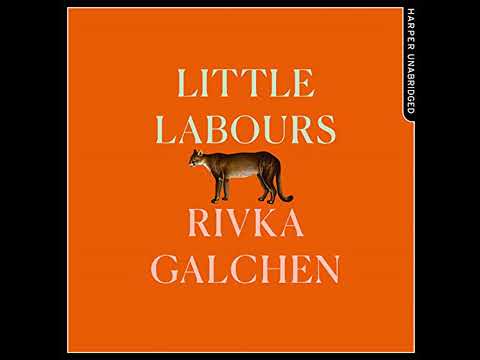 Little Labours by Rivka Galchen | Free Audiobook Little Labours by Rivka Galchen | Free Audiobook