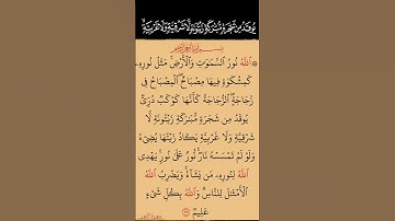 نور على نور يهدى الله لنوره من يشاء.. سورة النور