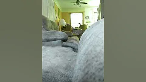 Playing hide and seek by