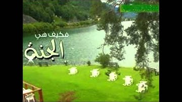 تلاوة رائعة تفوق الوصف لسورة الأنبياء كاملة للقارئ ماجد الزامل