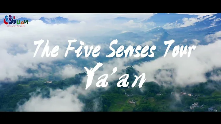 The Five Senses Tour - Ya'an, Sichuan, China - DayDayNews