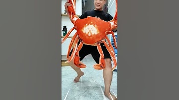 Em Trai Hối Lộ Chị Hai Mua Cua Hoàng Đế Ăn | King Crab - Vê Vê Travel#vevetravel #kingcrab #veve