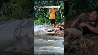 komedi lelucon jangkauanluas