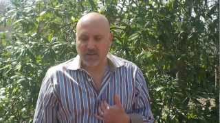 Real Estate in Charlotte NC-Appraisals-Are You SERIOUS?