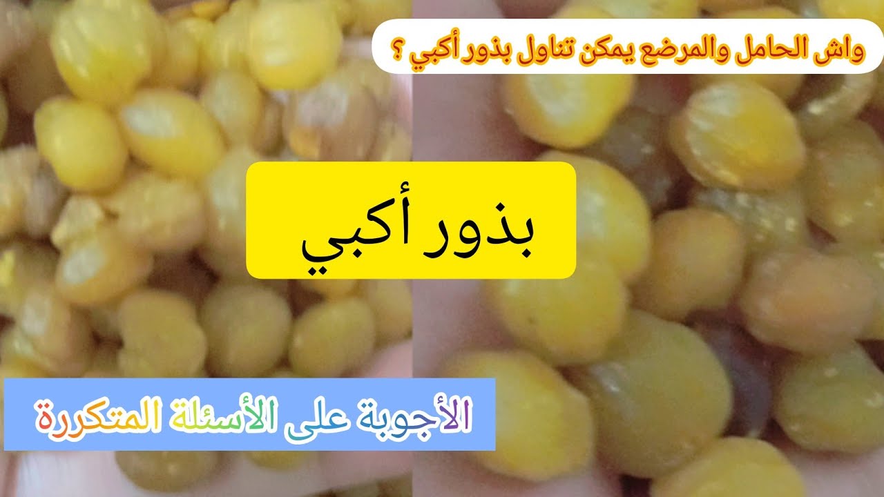 واش الحامل والمرضع يمكن تناول بذور أكبي السؤال المطروح بزاف في هاذ فيديو كاين الجواب على جميع أسئلة