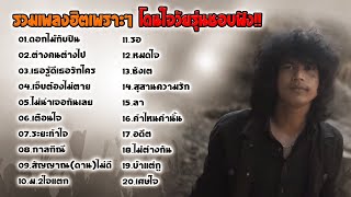 รวมเพลงฮิต วงกางเกง เหล็กโคน เพลงสตริงเพราะๆ 🎸🎧โดนใจวัยรุ่นชอบ