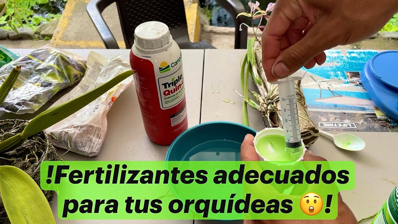 QUE FERTILIZANTES SE USAN PARA LAS ORQUÍDEAS - PARTE 2