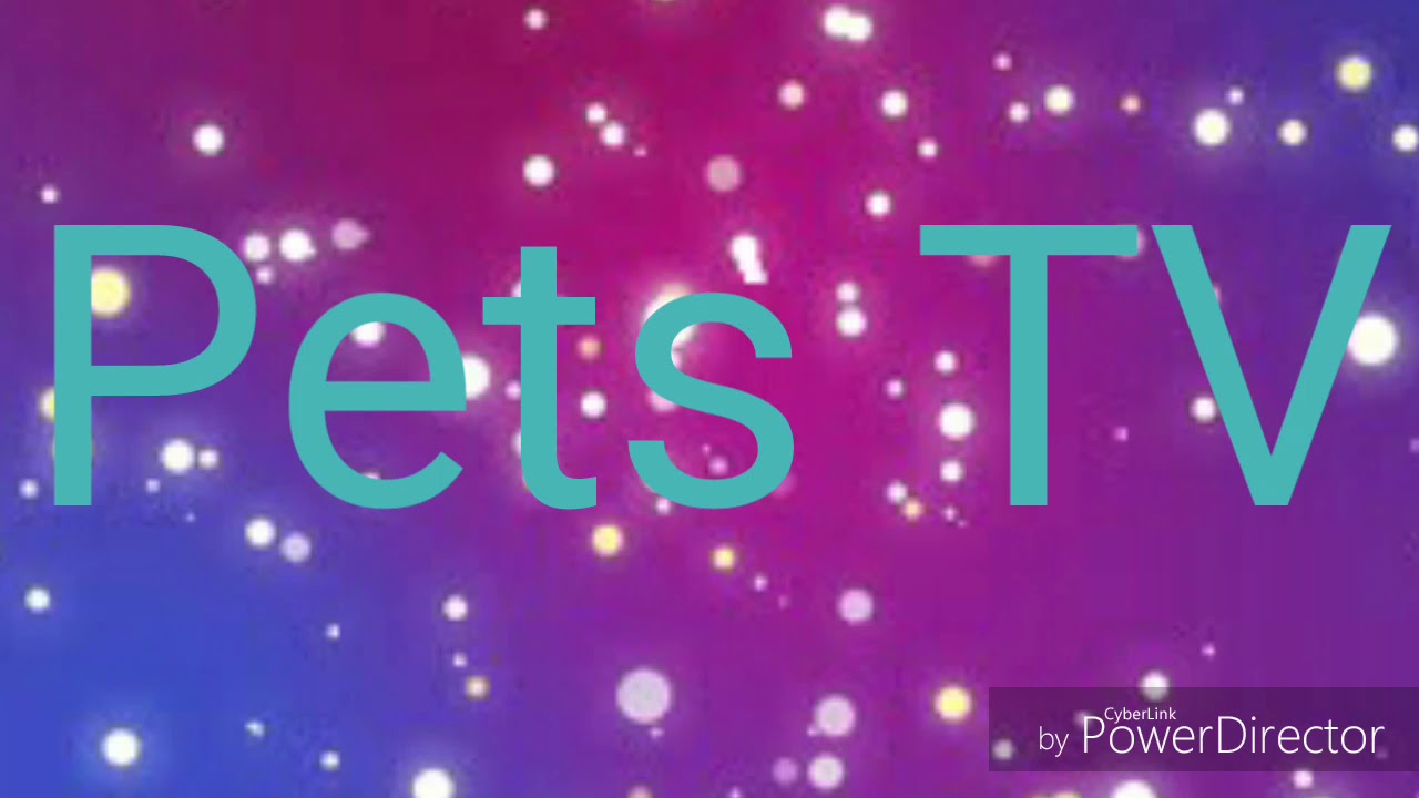 Что нужно для появления щенка - YouTube