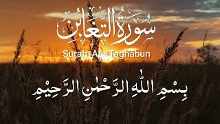 Surah At-Taghabun | Beautiful recitation of Surah At-Taghabun | Quran recitation |