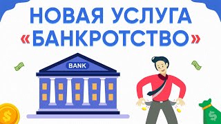 Как происходит банкротство физ лиц.  Как оформить банкротство физ лица.