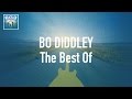 Capture de la vidéo Bo Diddley - The Best Of (Full Album / Album Complet)