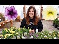 Proven Winners Plant Haul! 🌸🌿😁// Garden Answer