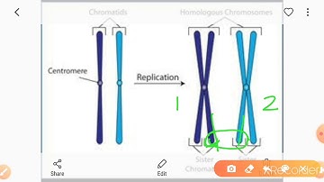 C12 CH- 05 || PRINCIPLE OF INHERITANCE AND VARIATION || PART 8  CROSSING OVER