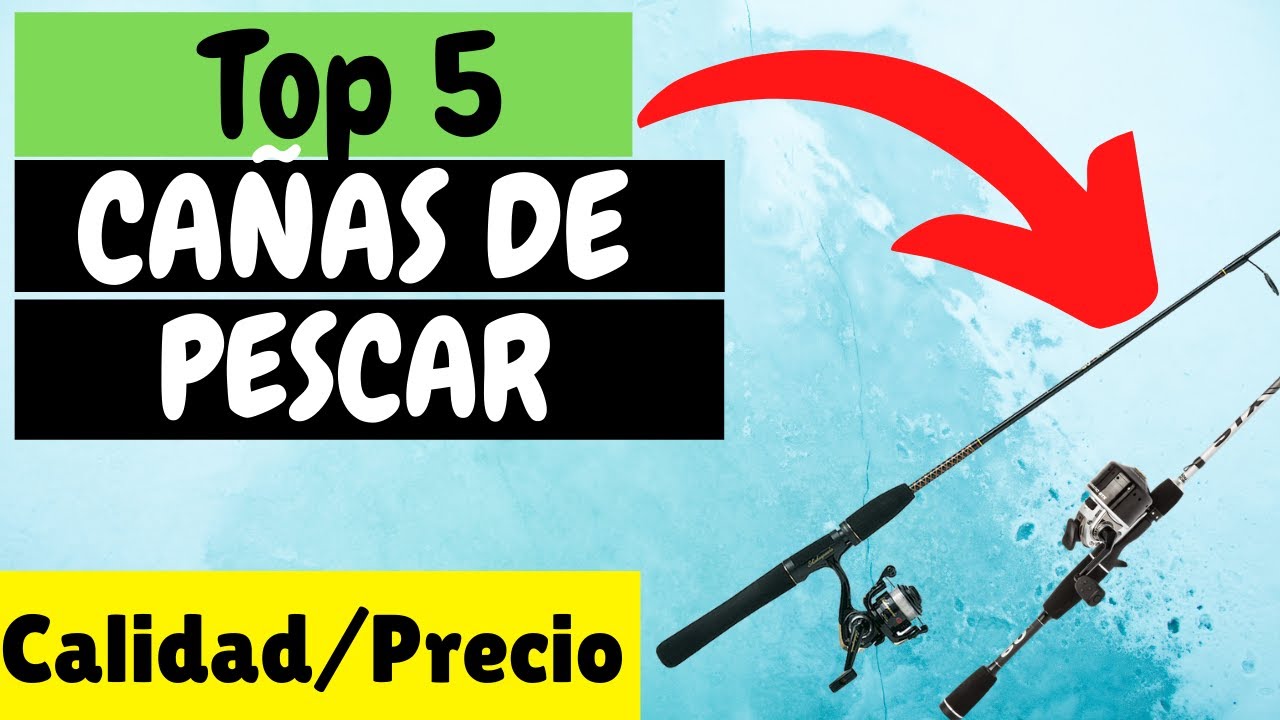 5 Mejores CAÑAS de PESCAR [Calidad/Precio] CAÑAS de Pesca 