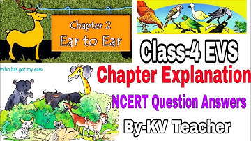 Ear To Ear / Class-4 EVS Chapter 2 Explanation and NCERT Question Answers by KV Teacher