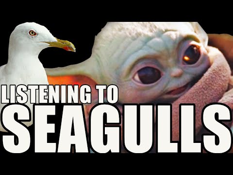 baby-yoda-just-wants-to-play-'seagulls!-(stop-it-now)-bad-lip-reading-|-stuffedy-wars