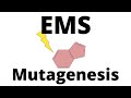 Biotechnology and EMS Mutagenesis Quiz