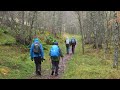 The Dwarven Mine | Forest Path | Relax Music Vol. 0114 | 4K