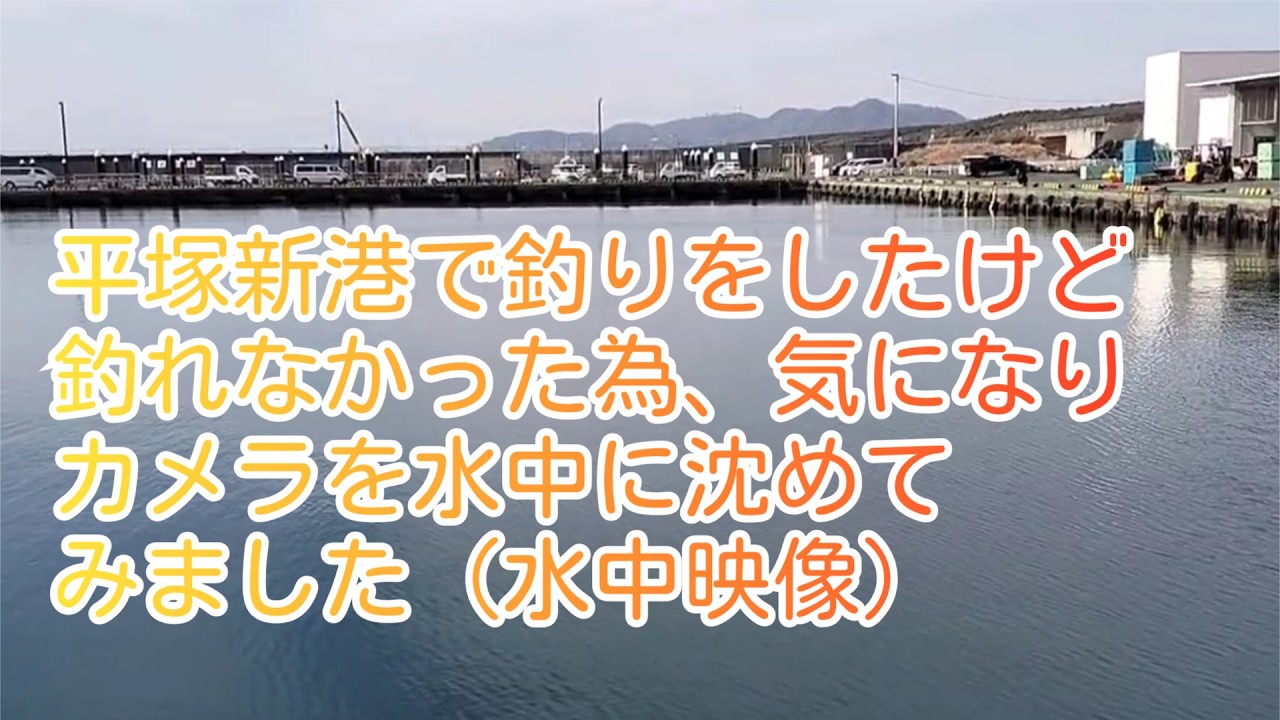 平塚新港でつりをしましたが、全く釣れなかったので水中映像撮りました(^^♪ #釣り #魚 #平塚新港