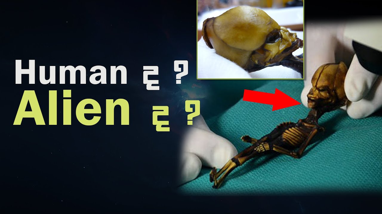 Alien Organs