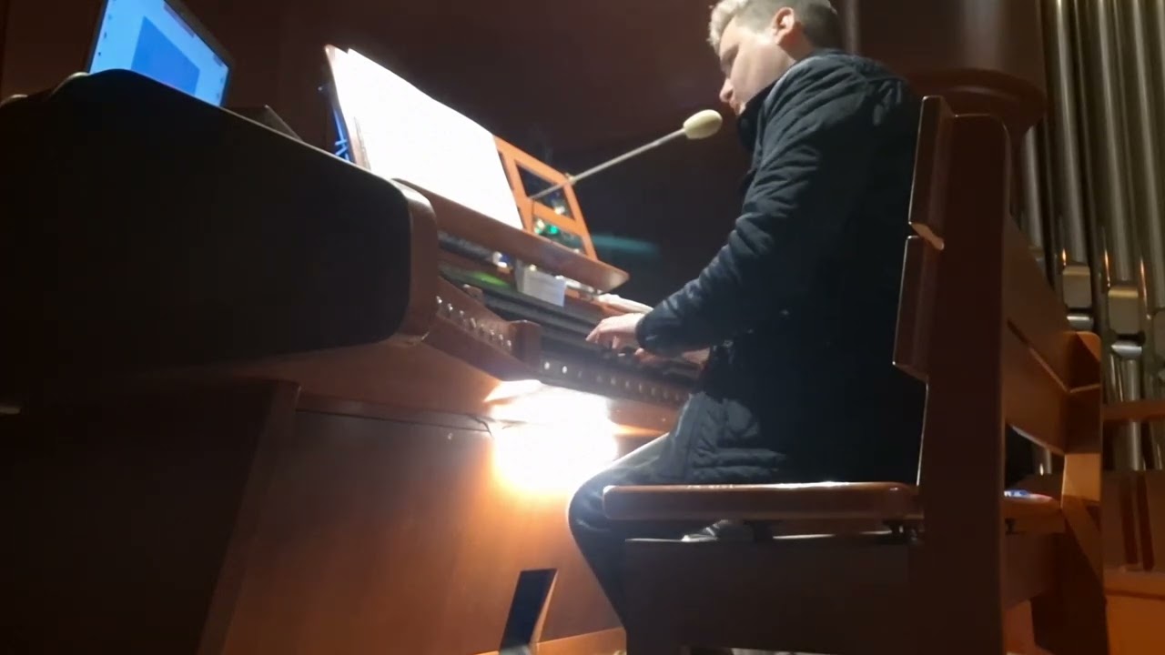 LULAJŻE JEZUNIU - ORGANY