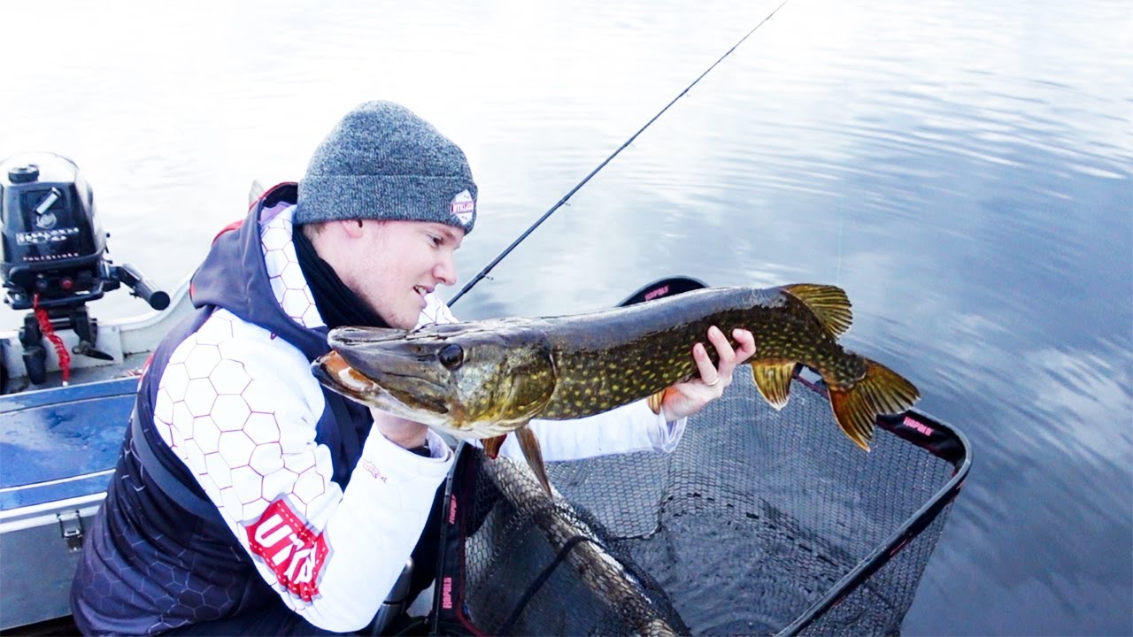 HÖSTFISKE efter GÄDDA i en liten sjö - Back to Basics & smörgåstårta