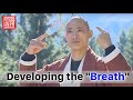 Some thoughts on "Developing the Breath" / Purpose and Practice