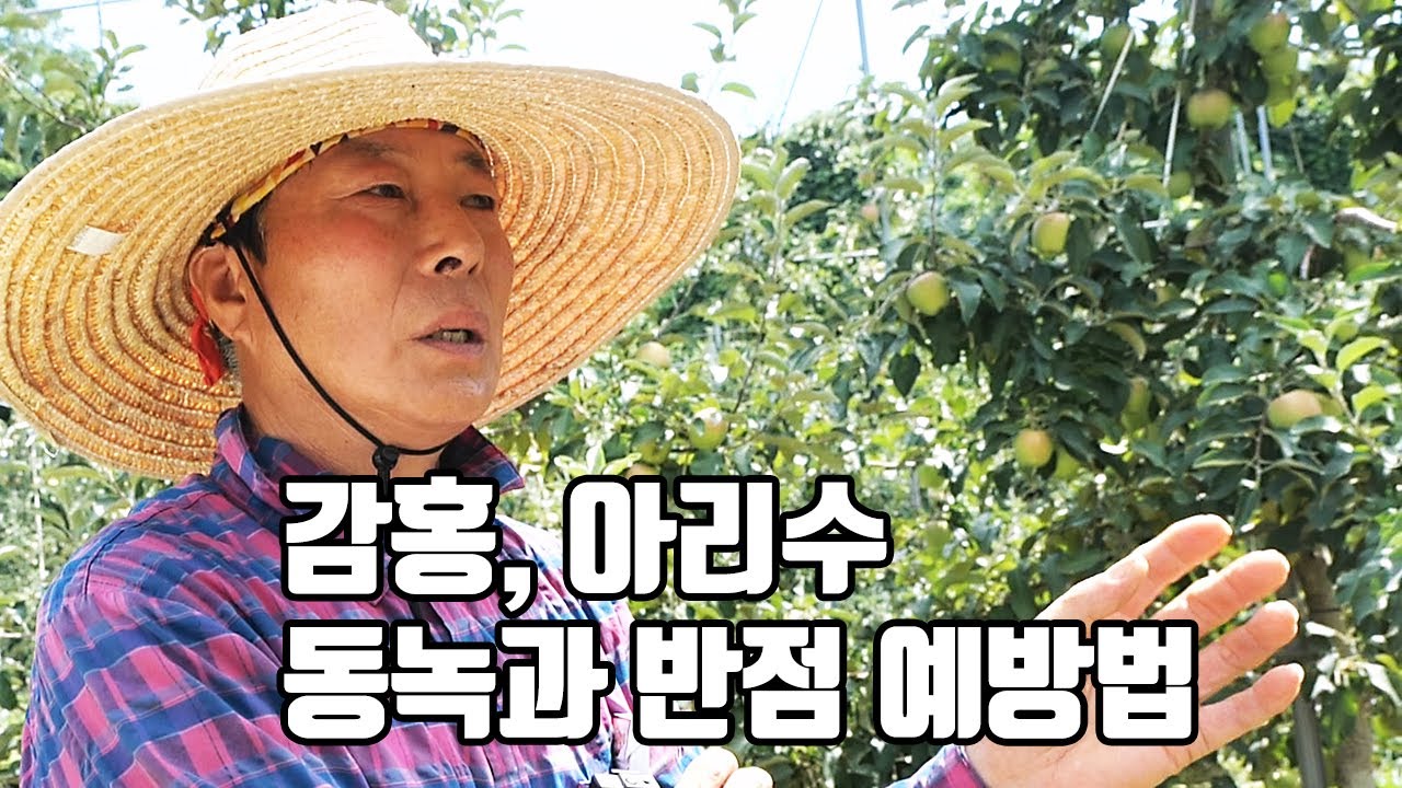 고착제 단용 살포가 뛰어난 효과 발휘