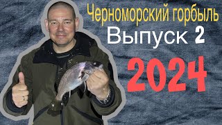 Морская рыбалка на горбыля и скорпену 2024.