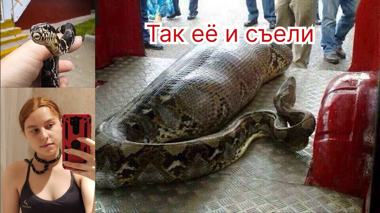 ЖИЗНЬ СО ЗМЕЁЙ | ЗАПИСКИ ВЫЖИВШЕЙ