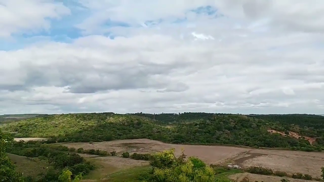 Como e perfeito as coisas de Deus#naturezasurpreendente #amazonas #nordeste 