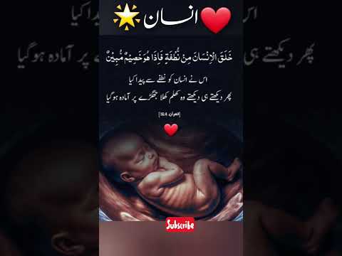 انسان کی اصلیت Qurantranslation Quran Ytshorts
