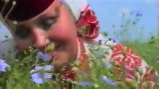 картинка: Ти мене замани