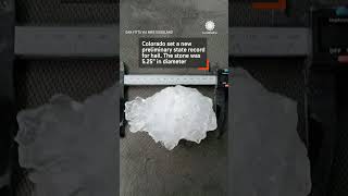 2023 Hail Recap