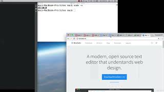 JSON+AJAX+API 1202 Node Application Setup