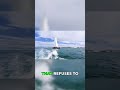 Garcia ExploCat 52: Built for Arctic &amp; Impact Survival