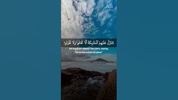 إن الذين قالوا ربنا الله سورة فصلت بصوت صلاح بو خاطر