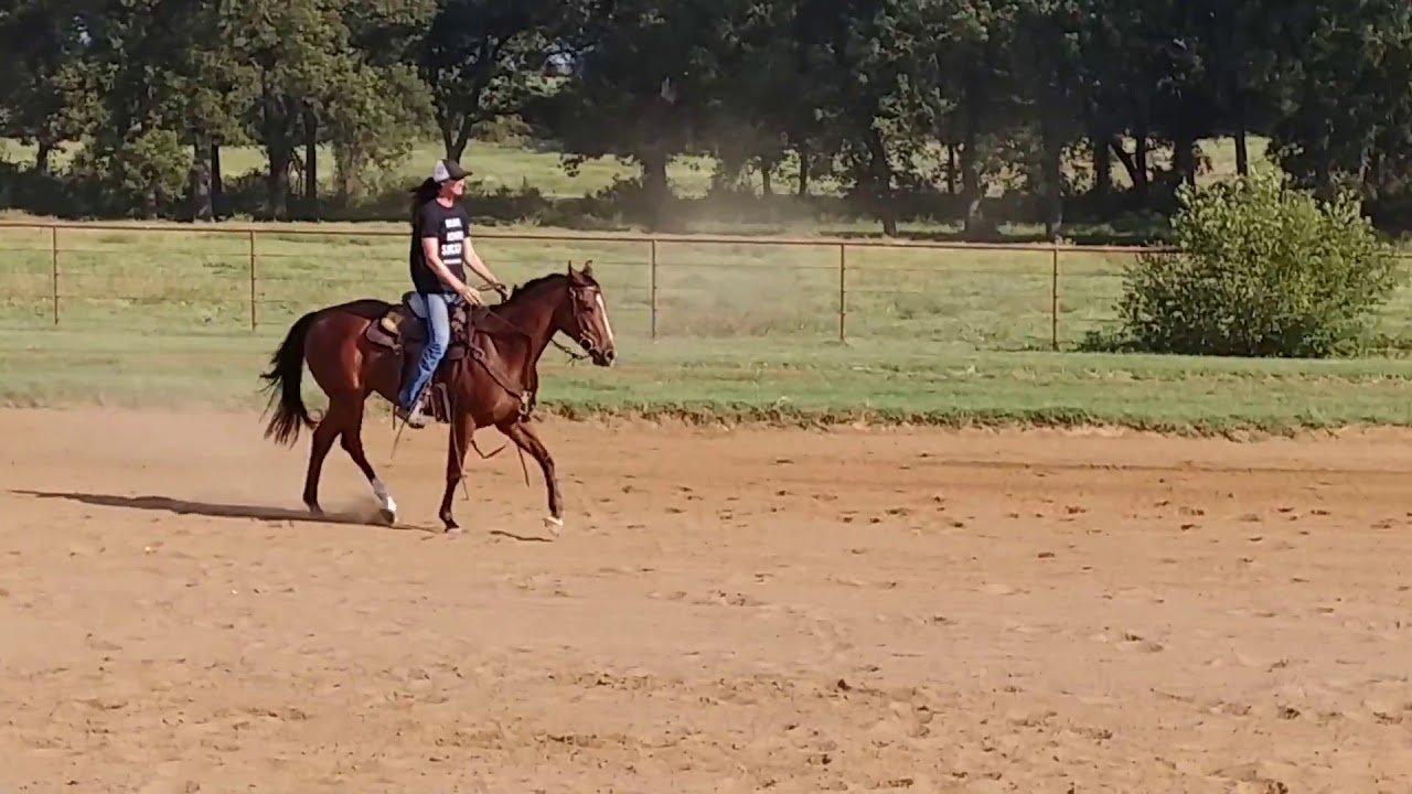 A Promise Of Love Barrel Racing Quarter Horse For Sale YouTube