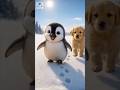 かわいいペンギンの赤ちゃん #shorts #かわいい #animal #baby #penguin #cute #adorable #pets #love