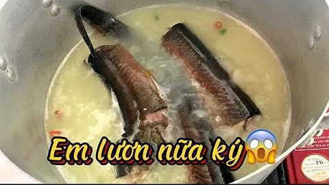 Món ngon miền Quê, lươn Đồng nấu canh chua cơm mẻ 😋