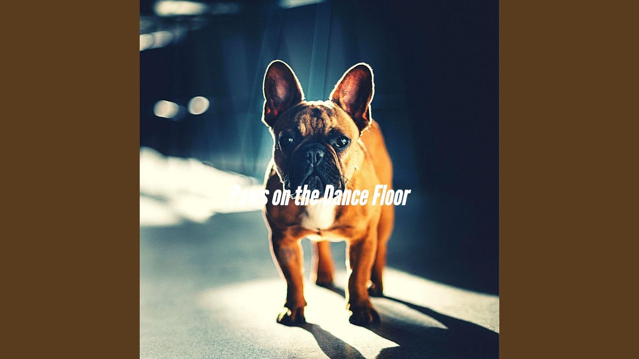 thrilling-jazz-trombone-vibe-for-keeping-dogs-entertained-youtube