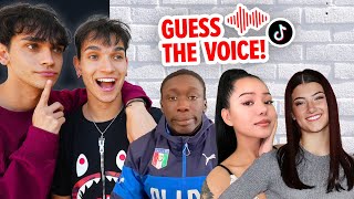 Guessing TikTokers Using ONLY Their Voice!