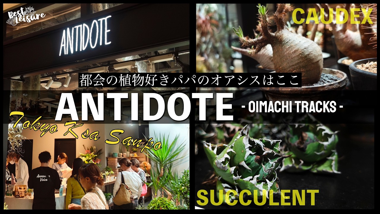 ANTIDOTE] The urban dad